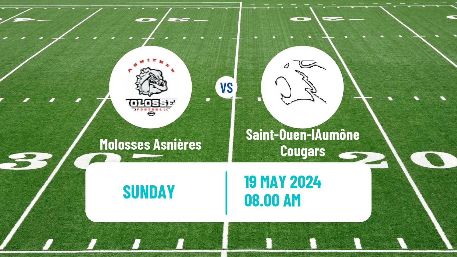 American football French Championnat Elite American Football Molosses Asnières - Saint-Ouen-lAumône Cougars