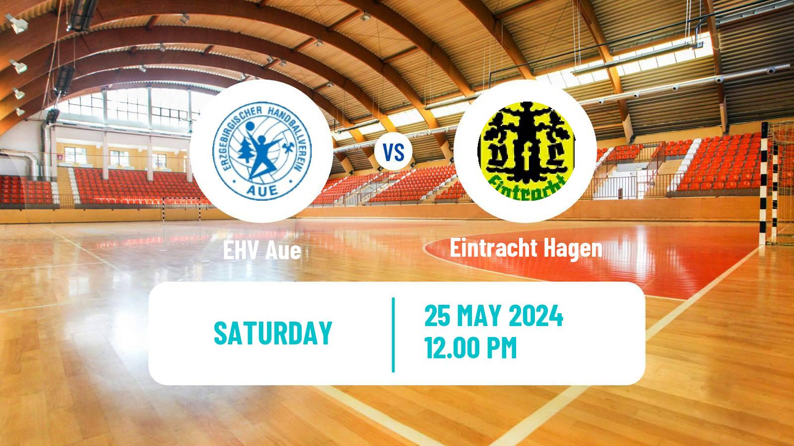 Handball German 2 Bundesliga Handball EHV Aue - Eintracht Hagen