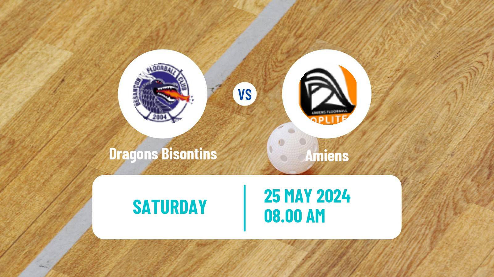 Floorball French Division 1 Floorball Dragons Bisontins - Amiens