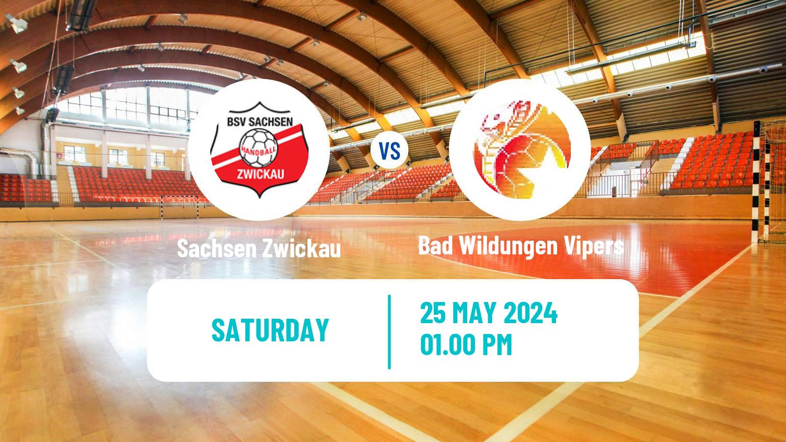 Handball German 1 Bundesliga Handball Women Sachsen Zwickau - Bad Wildungen Vipers