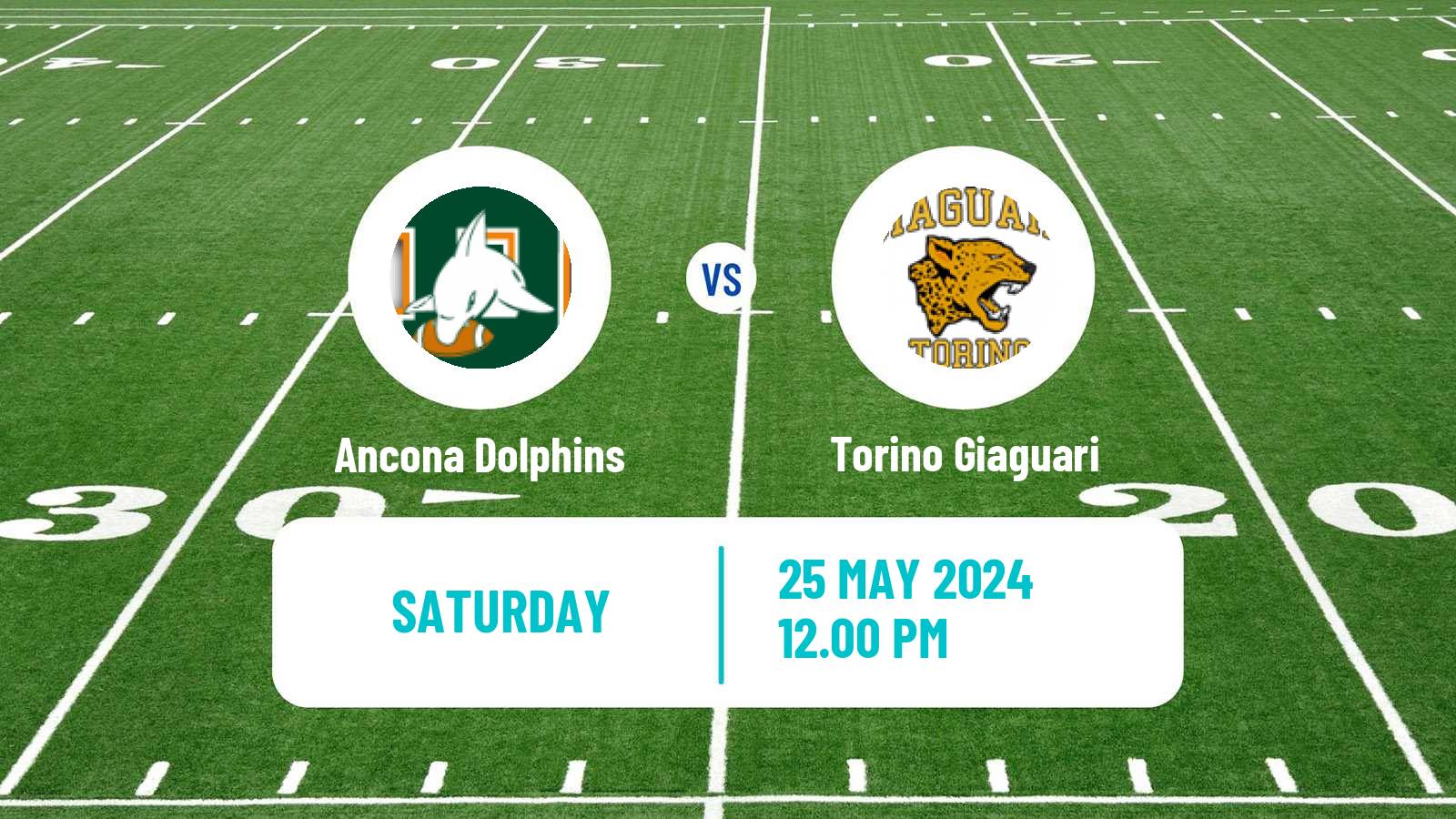 American football Italian IFL Ancona Dolphins - Torino Giaguari