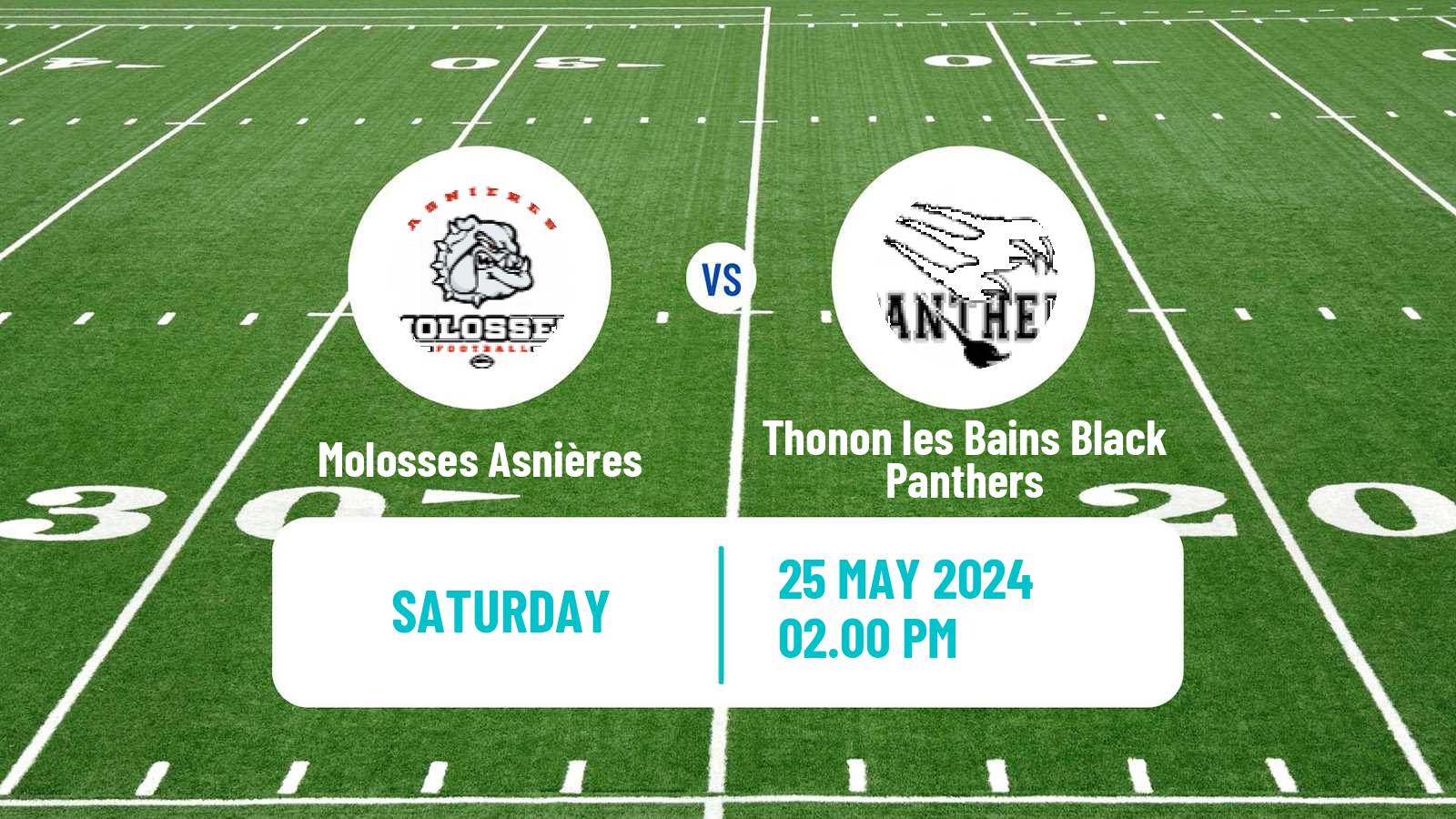 American football French Championnat Elite American Football Molosses Asnières - Thonon les Bains Black Panthers