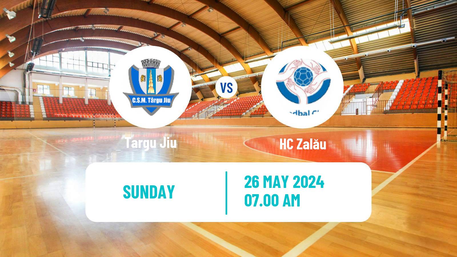 Handball Romanian Liga Nationala Handball Women Targu Jiu - HC Zalău