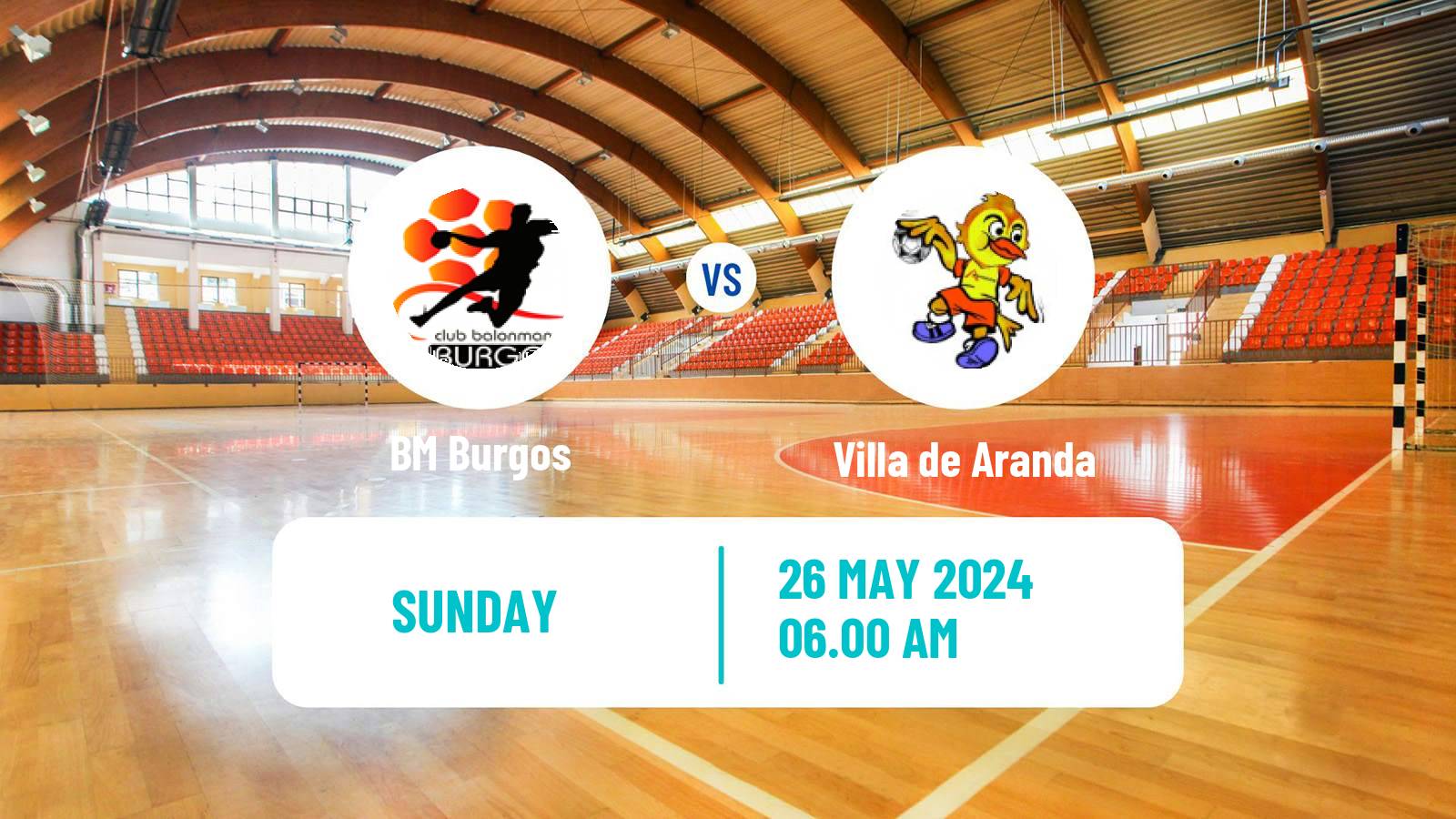 Handball Spanish Division de Honor Plata Handball Burgos - Villa de Aranda