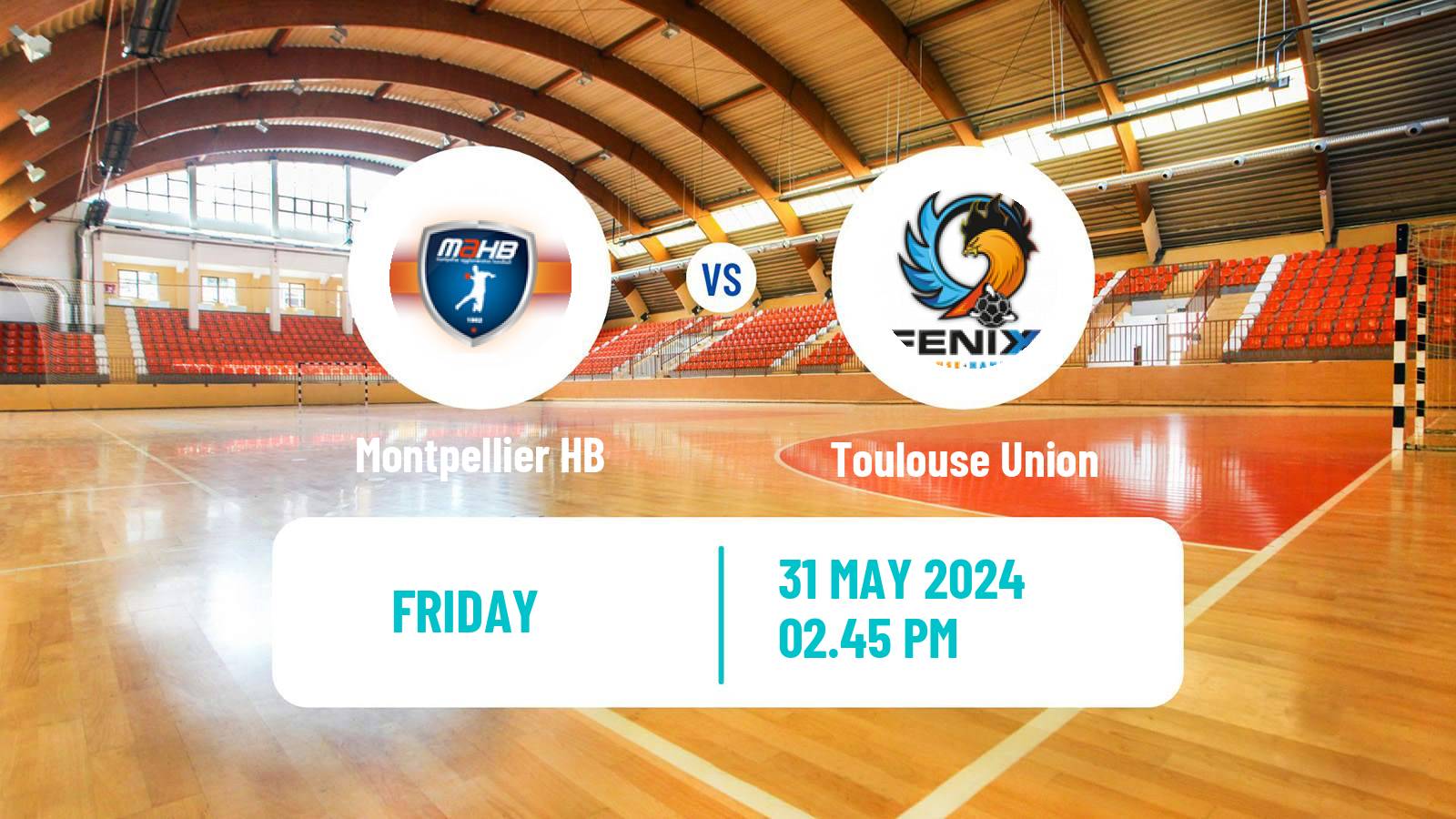 Handball French Starligue Handball Montpellier HB - Toulouse Union