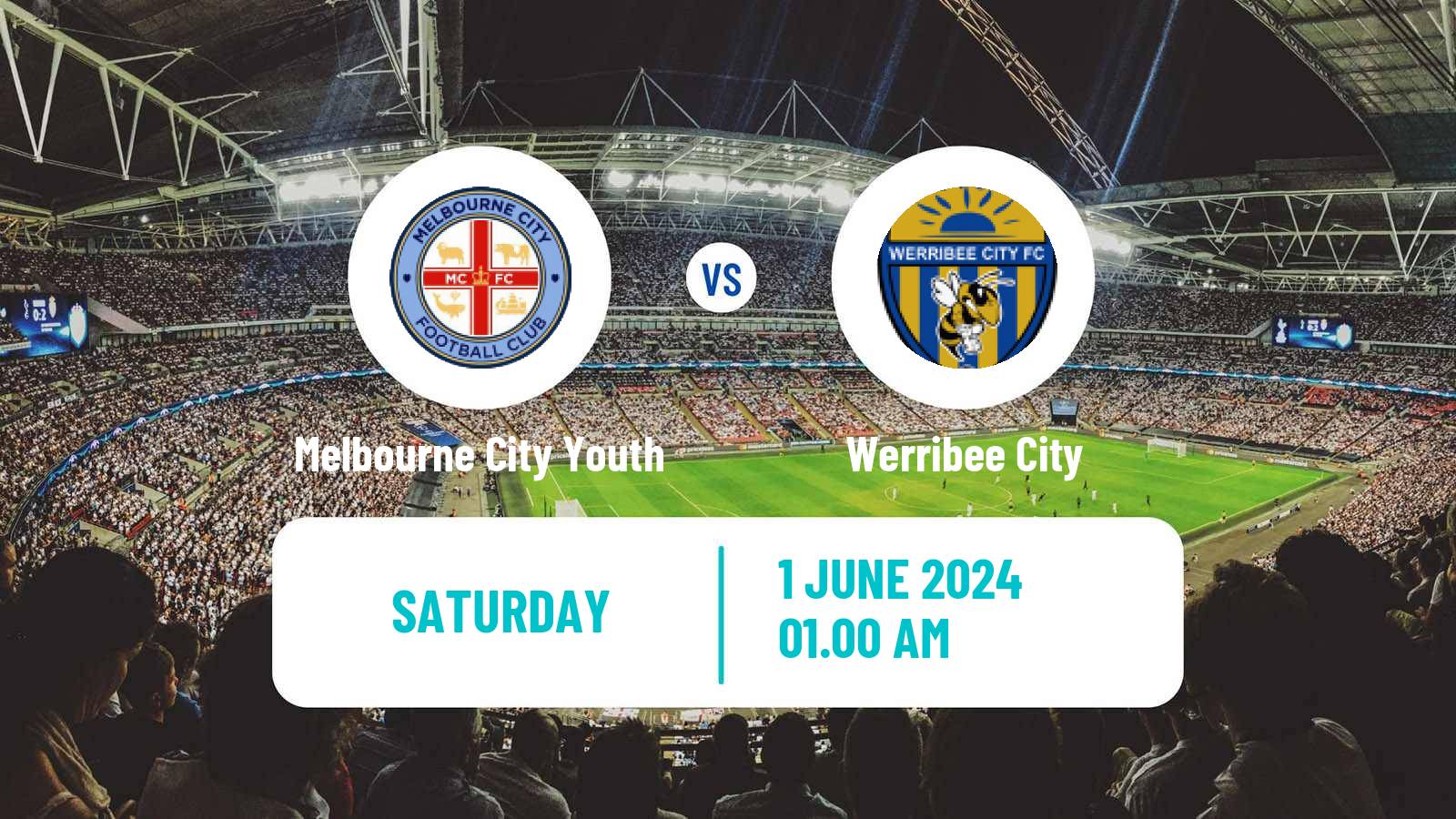 Soccer Australian Victoria Premier League Melbourne City Youth - Werribee City