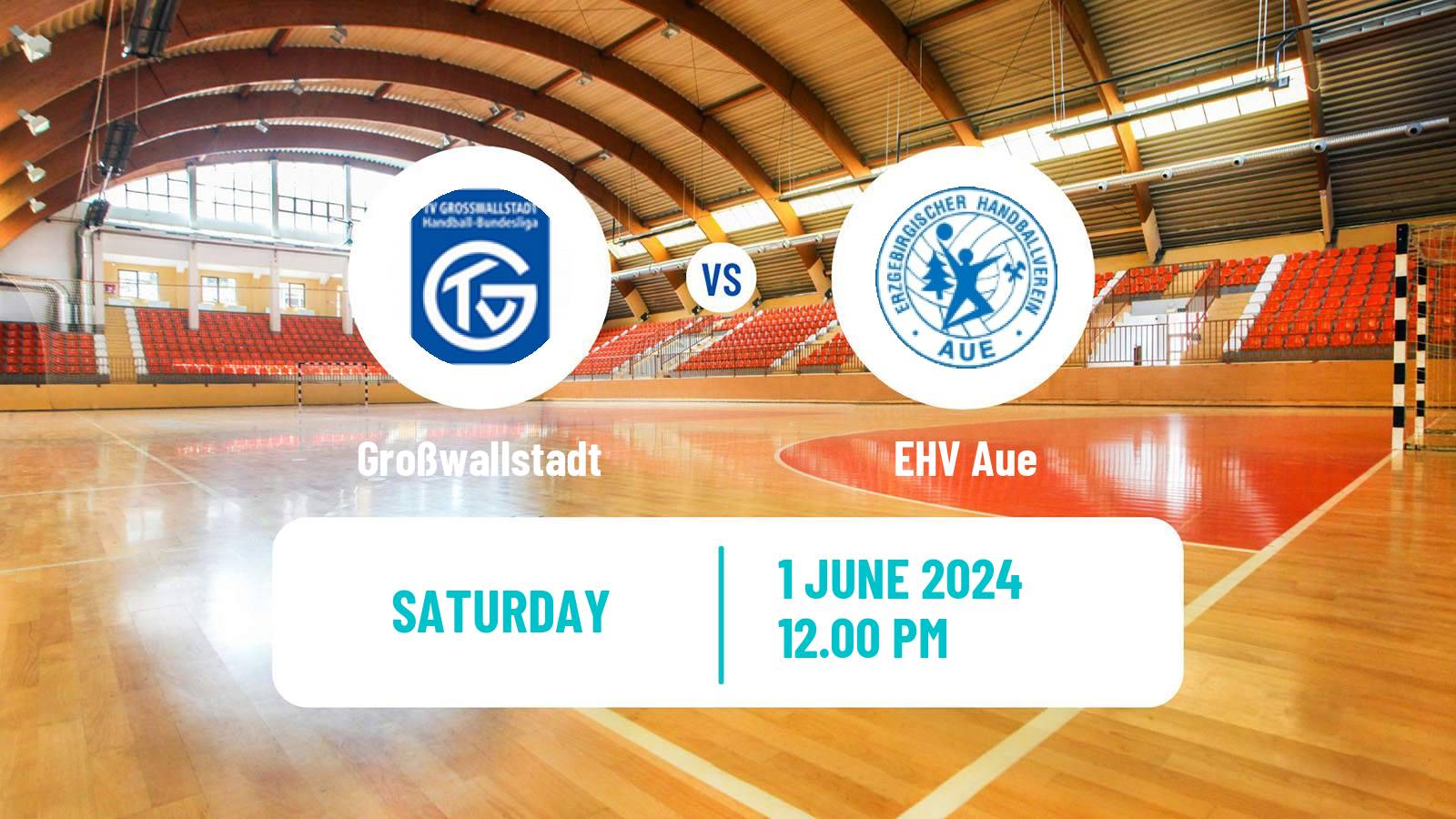 Handball German 2 Bundesliga Handball Großwallstadt - EHV Aue