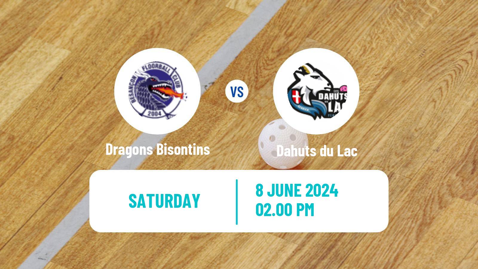 Floorball French Division 1 Floorball Dragons Bisontins - Dahuts du Lac