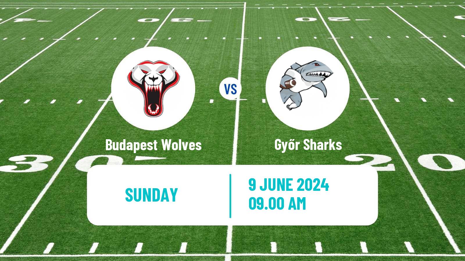 American football Hungarian HFL  American Football Budapest Wolves - Győr Sharks