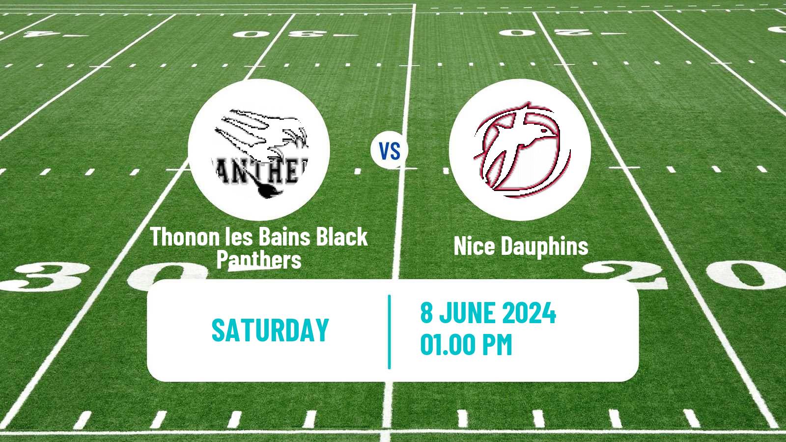 American football French Championnat Elite American Football Thonon les Bains Black Panthers - Nice Dauphins