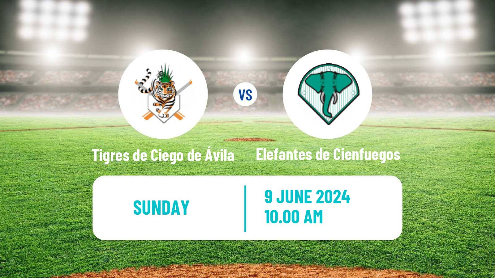 Baseball Cuba Serie Nacional Baseball Tigres de Ciego de Ávila - Elefantes de Cienfuegos
