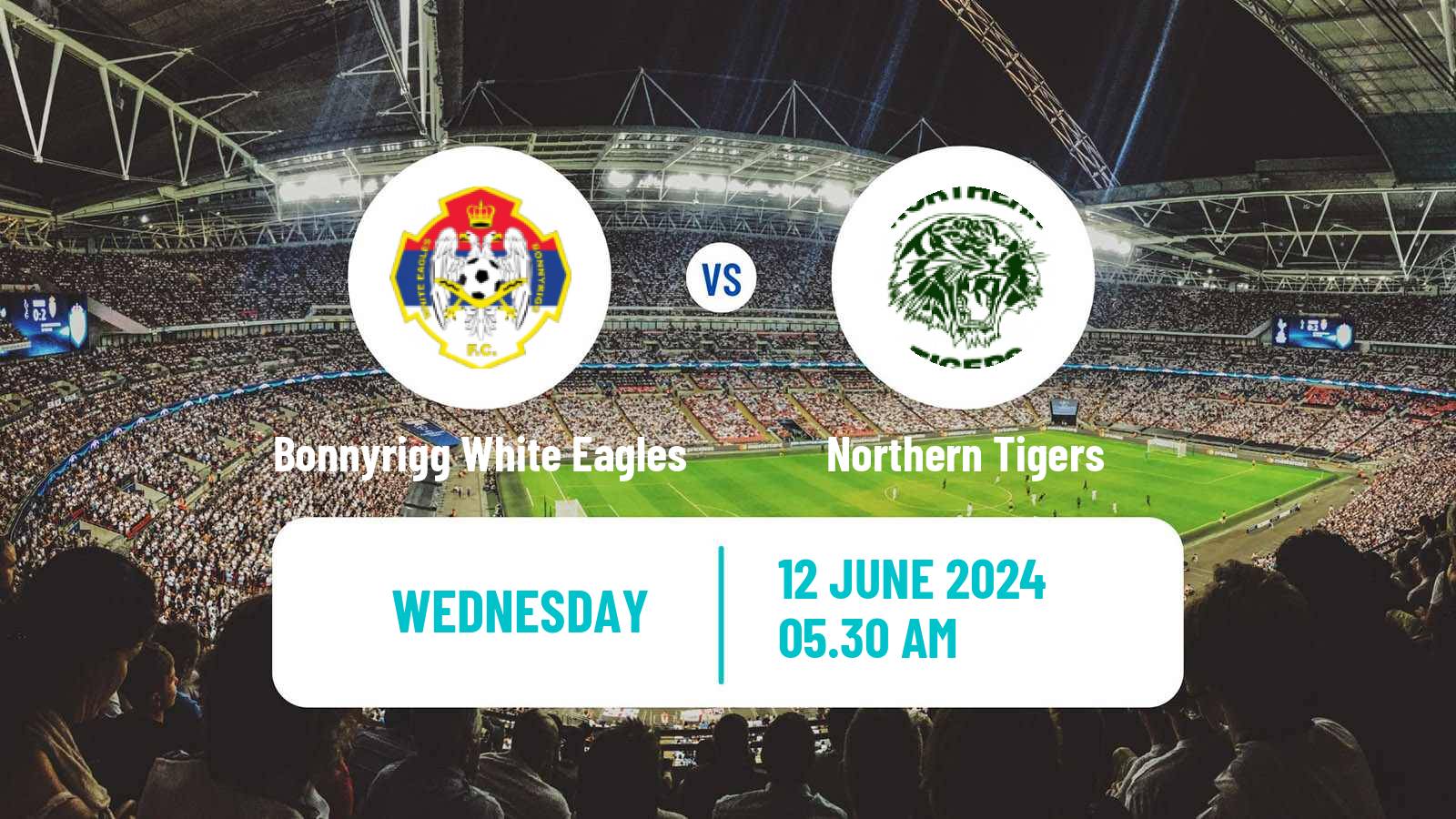 Soccer Australian NSW League One Bonnyrigg White Eagles - Northern Tigers