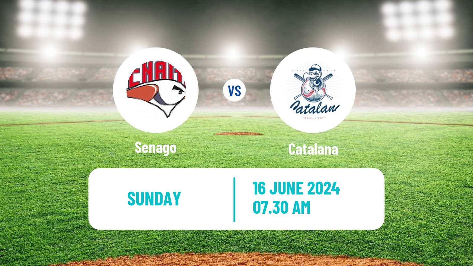 Baseball Italian Serie A1 Baseball Senago - Catalana