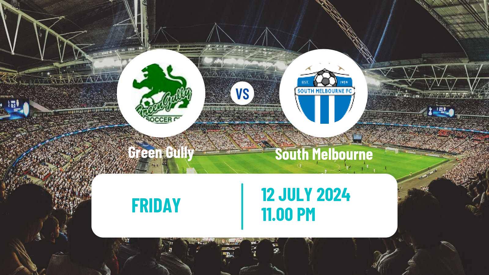 Soccer Australian NPL Victoria Green Gully - South Melbourne