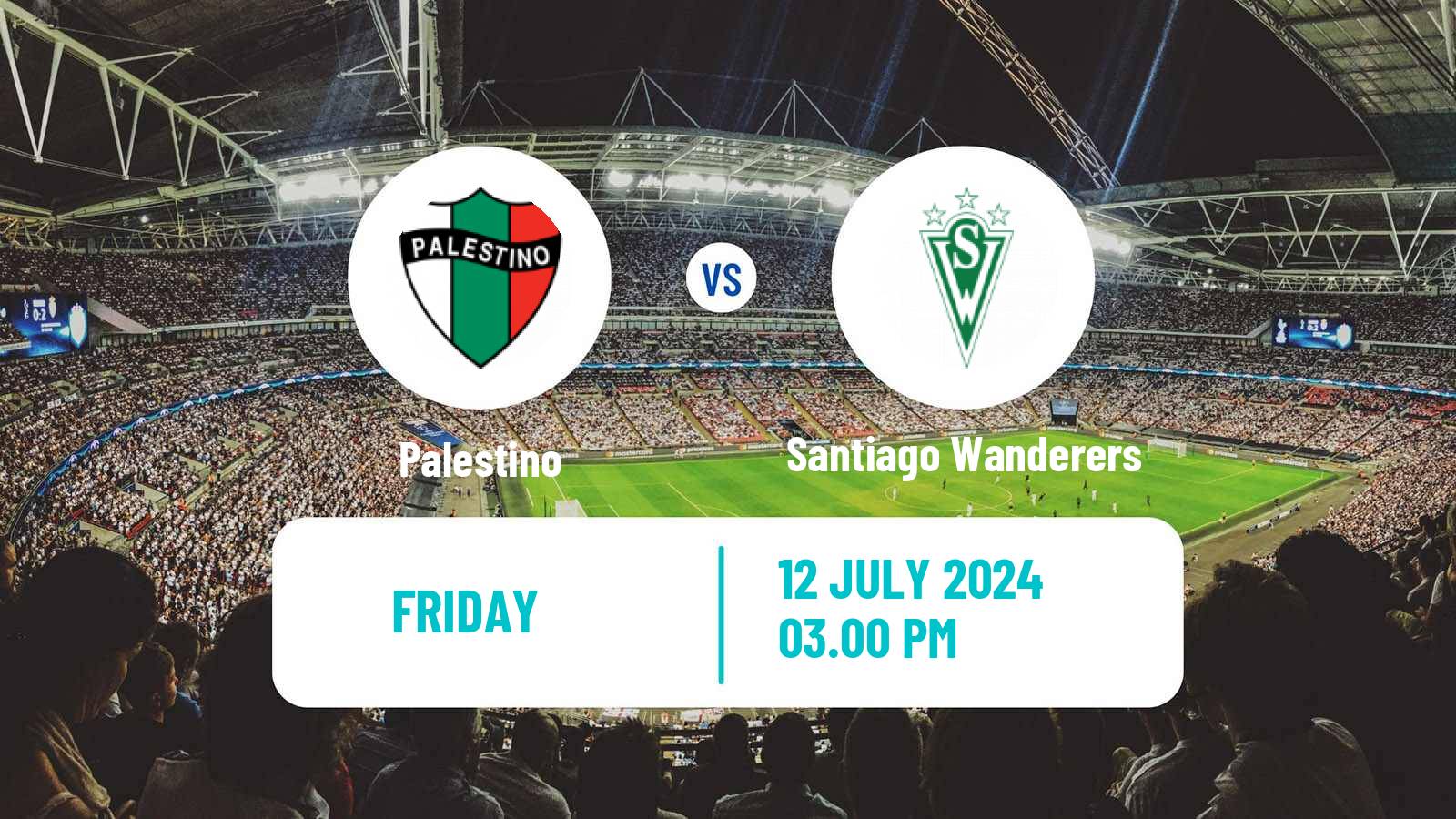 Soccer Chilean Cup Palestino - Santiago Wanderers