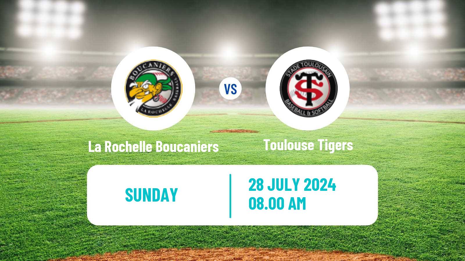 Baseball French Division 1 Baseball La Rochelle Boucaniers - Toulouse Tigers