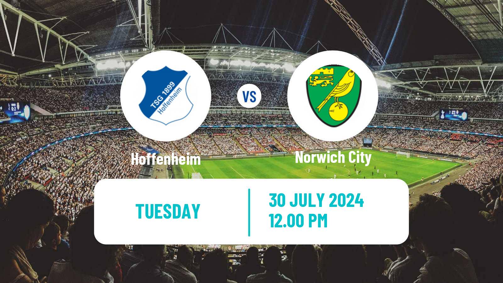 Soccer Club Friendly Hoffenheim - Norwich City