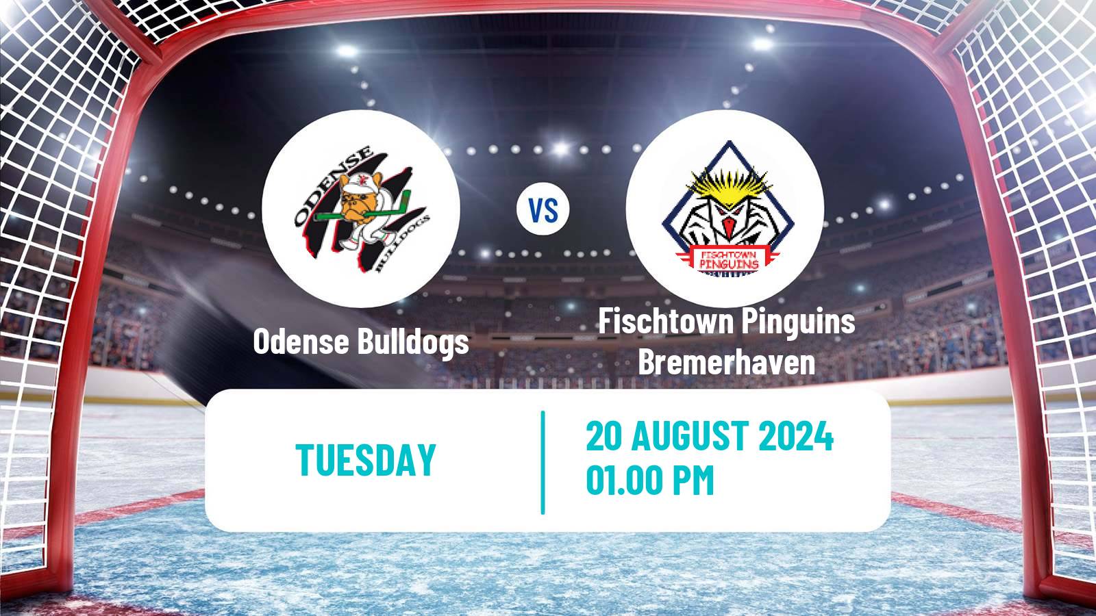 Hockey Club Friendly Ice Hockey Odense Bulldogs - Fischtown Pinguins Bremerhaven