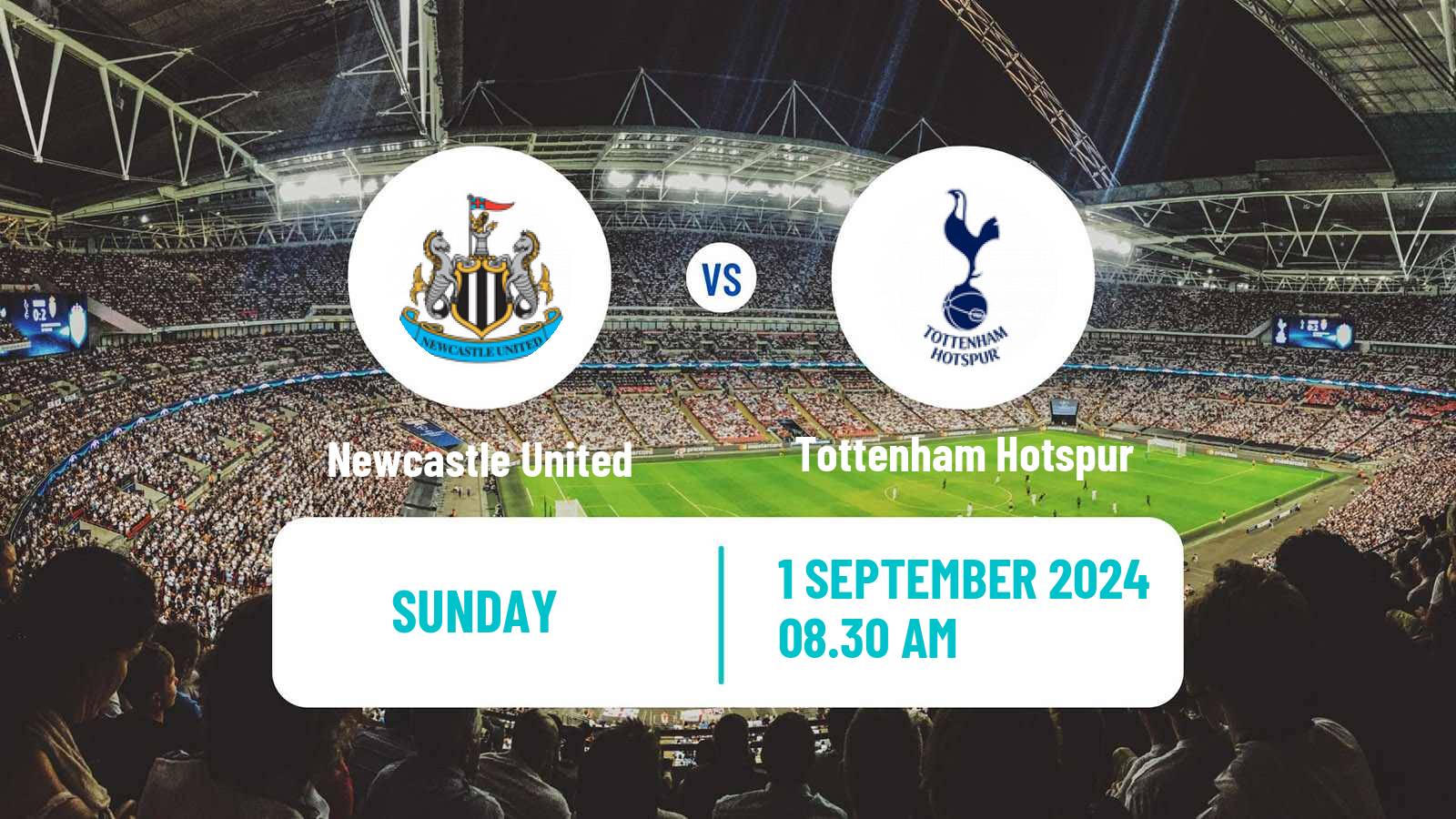 Soccer English Premier League Newcastle United - Tottenham Hotspur