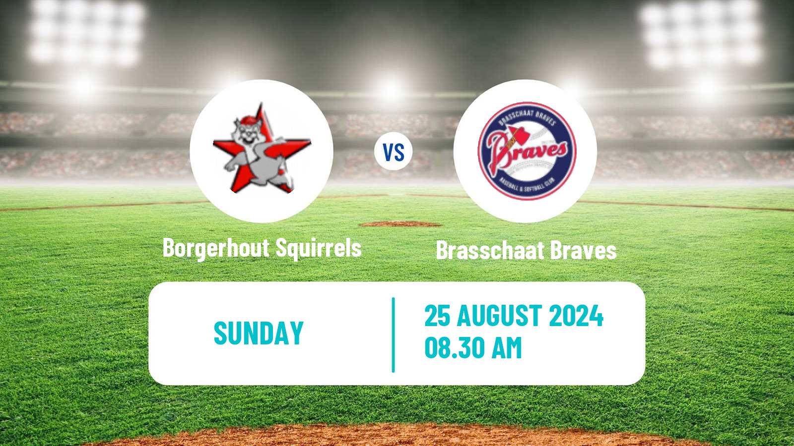 Baseball Belgian Division 1 Baseball Borgerhout Squirrels - Brasschaat Braves