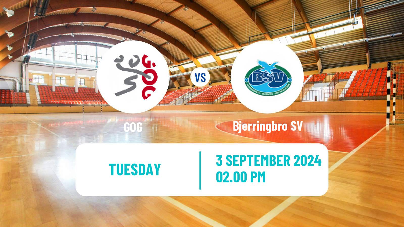 Handball Danish Handbold Ligaen GOG - Bjerringbro SV