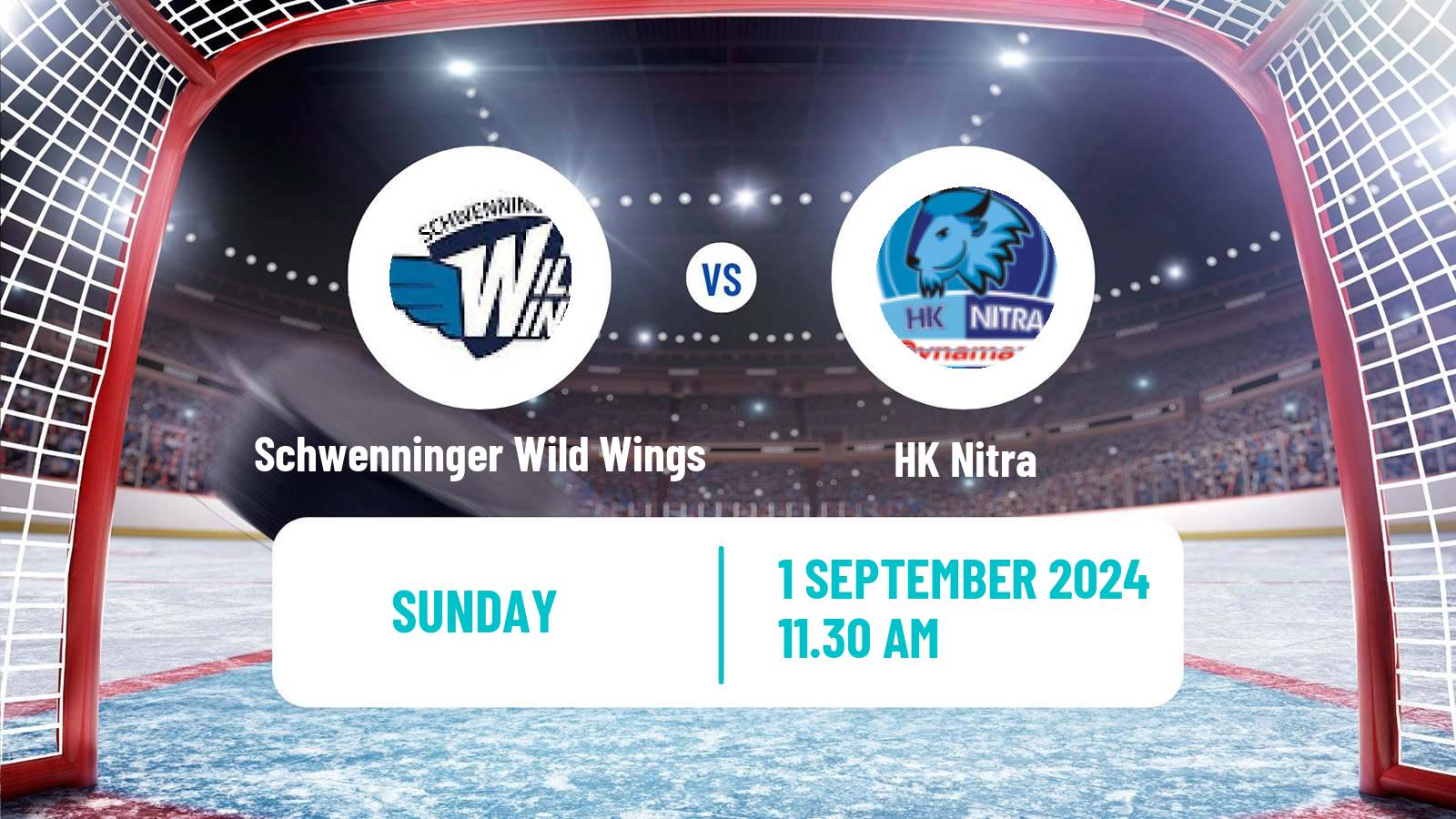 Hockey Club Friendly Ice Hockey Schwenninger Wild Wings - Nitra