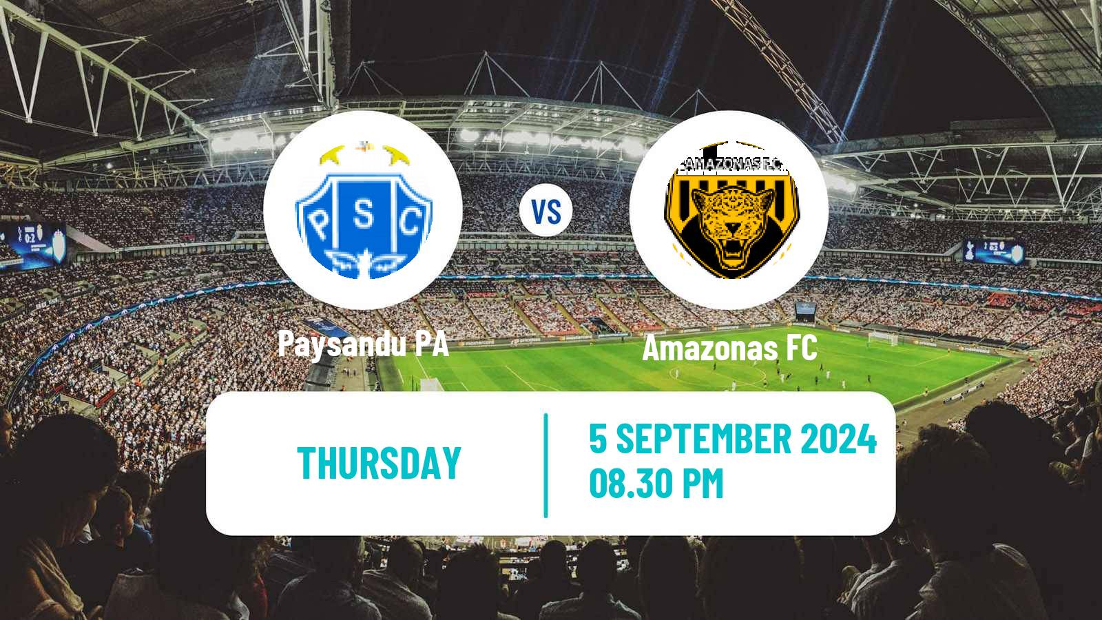 Soccer Brazilian Serie B Paysandu - Amazonas