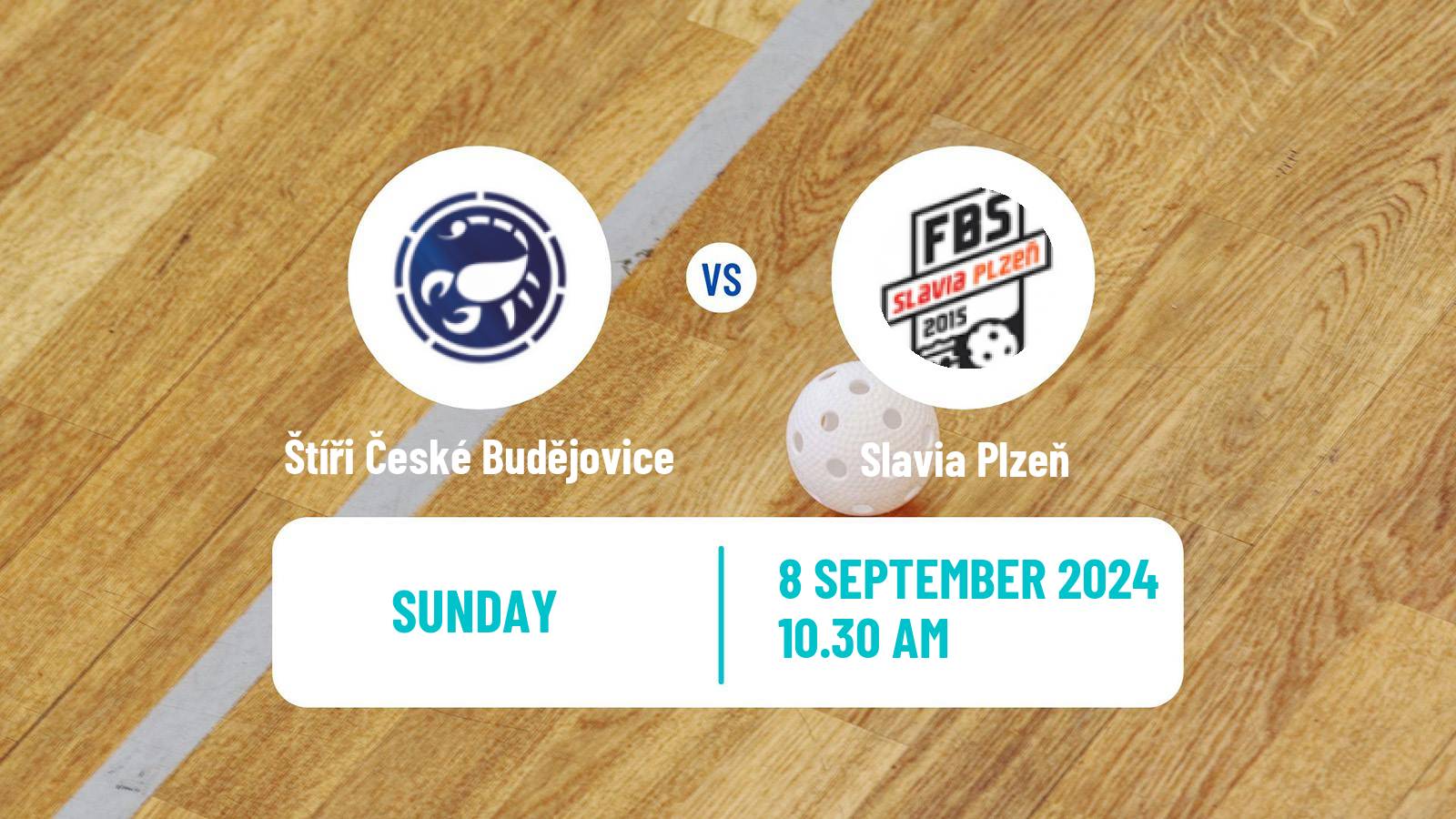 Floorball Czech 1 Liga Floorball Štíři České Budějovice - Slavia Plzeň