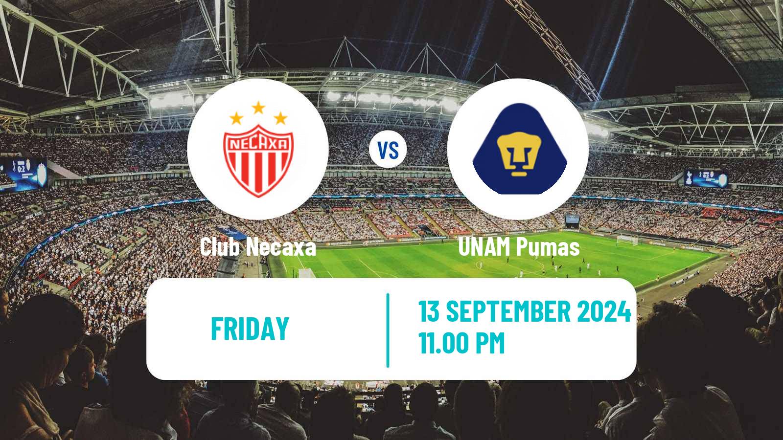 Soccer Mexican Liga MX Necaxa - UNAM