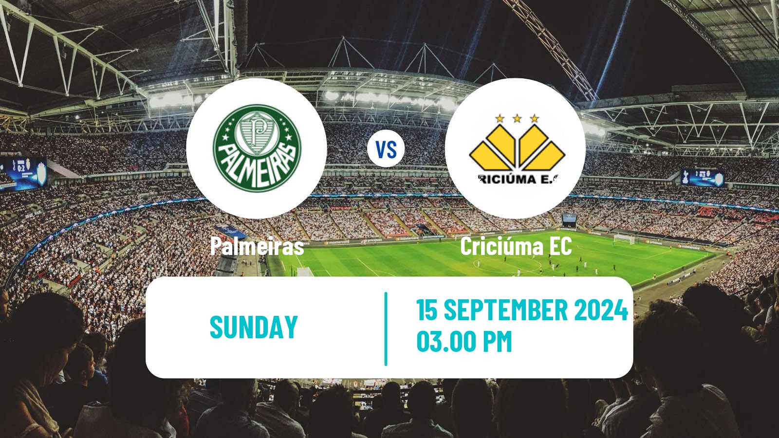 Soccer Brazilian Serie A Palmeiras - Criciúma