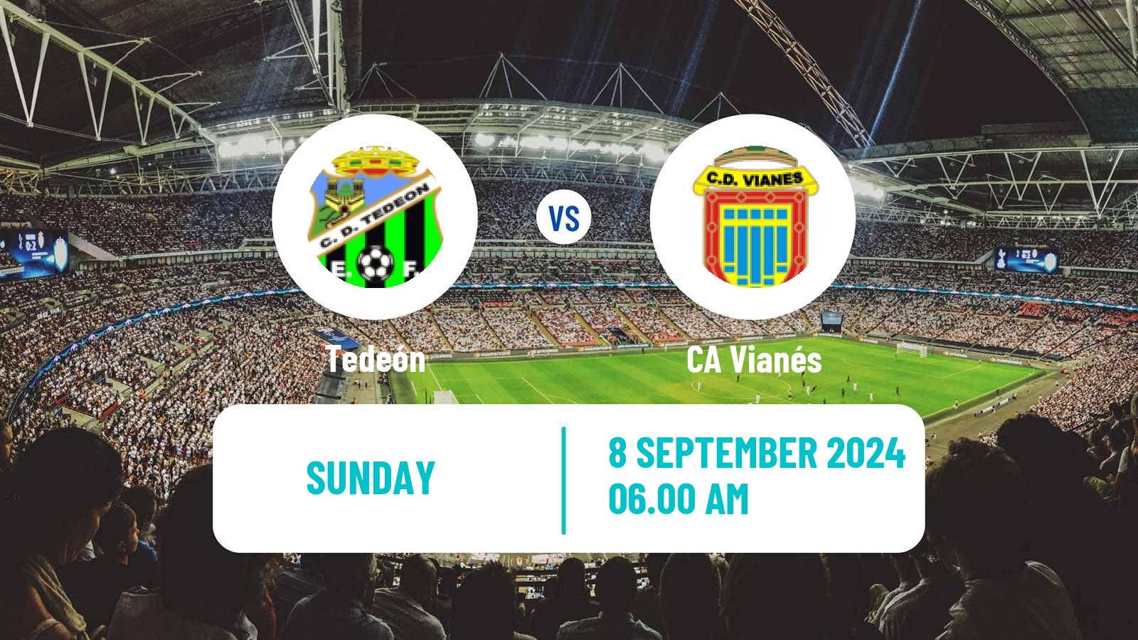 Soccer Spanish Tercera RFEF - Group 16 Tedeón - Vianés