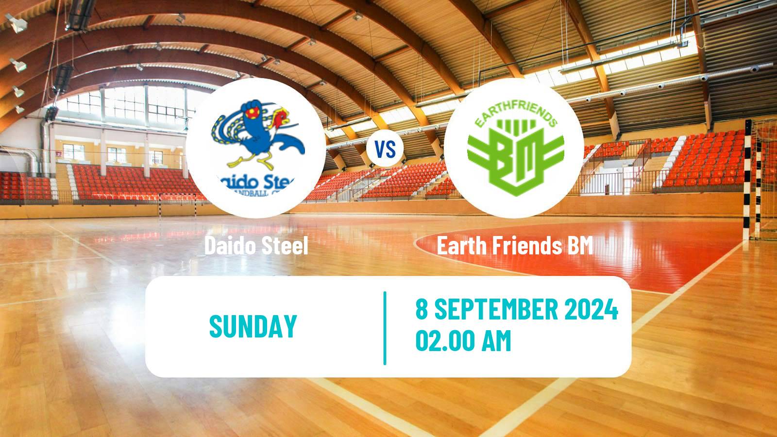 Handball Japan JHL Handball Daido Steel - Earth Friends BM