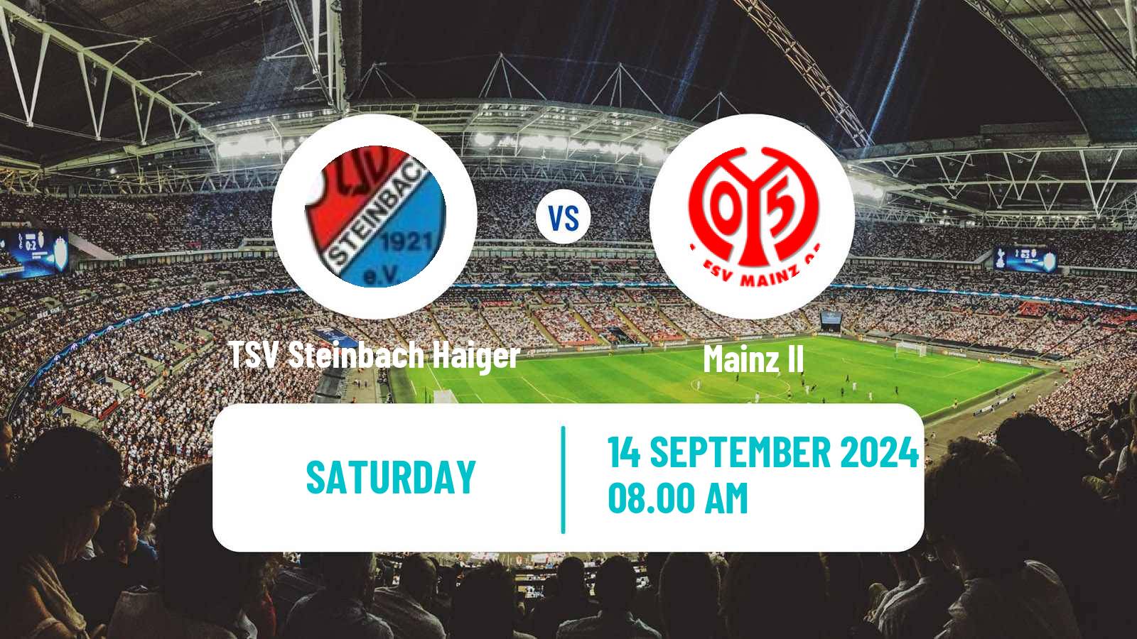 Soccer German Regionalliga Sudwest TSV Steinbach Haiger - Mainz II