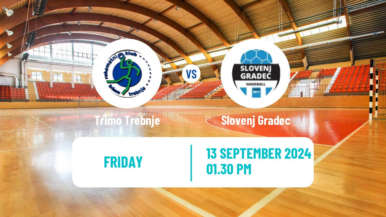 Handball Slovenian 1 NLB Liga Handball Trimo Trebnje - Slovenj Gradec