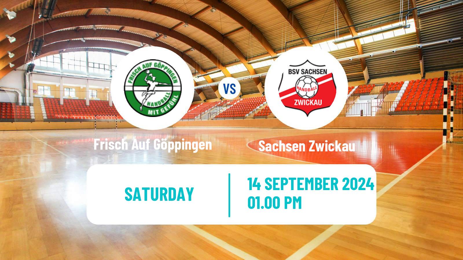 Handball German 1 Bundesliga Handball Women Frisch Auf Göppingen - Sachsen Zwickau