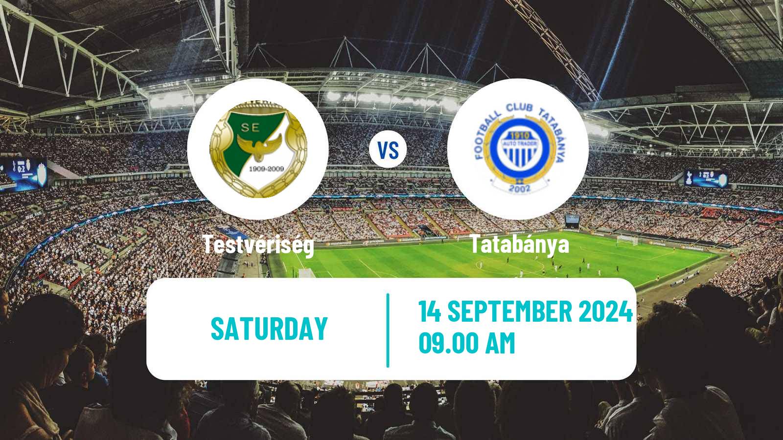 Soccer Hungarian Cup Testvériség - Tatabánya