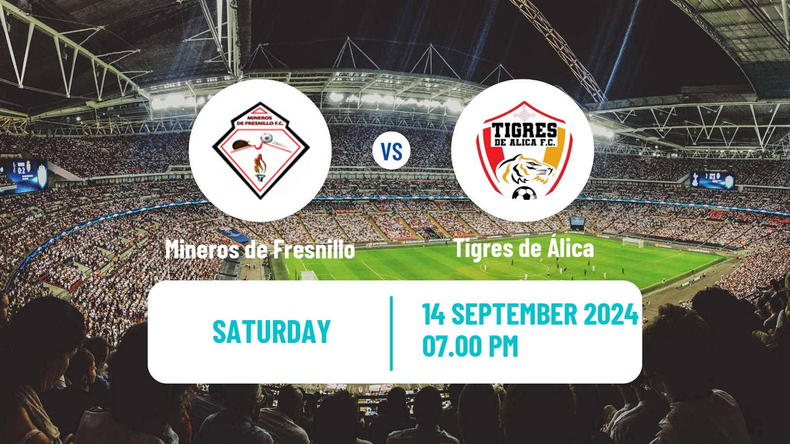 Soccer Mexican Liga Premier Serie A Mineros de Fresnillo - Tigres de Álica