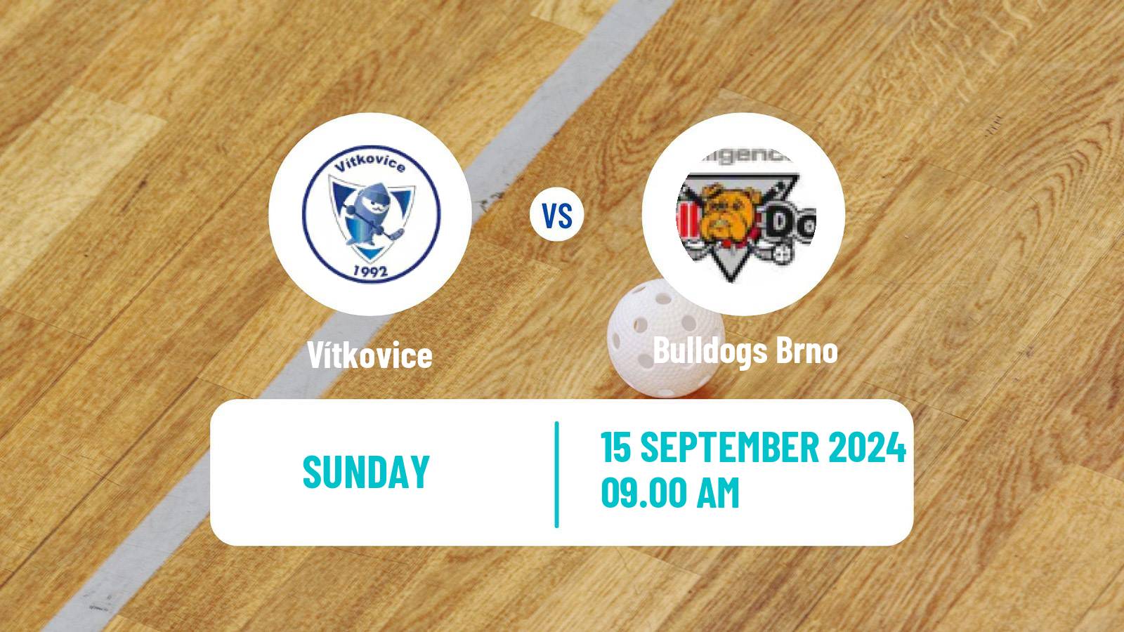 Floorball Czech Extraliga Floorball Women Vítkovice - Bulldogs Brno