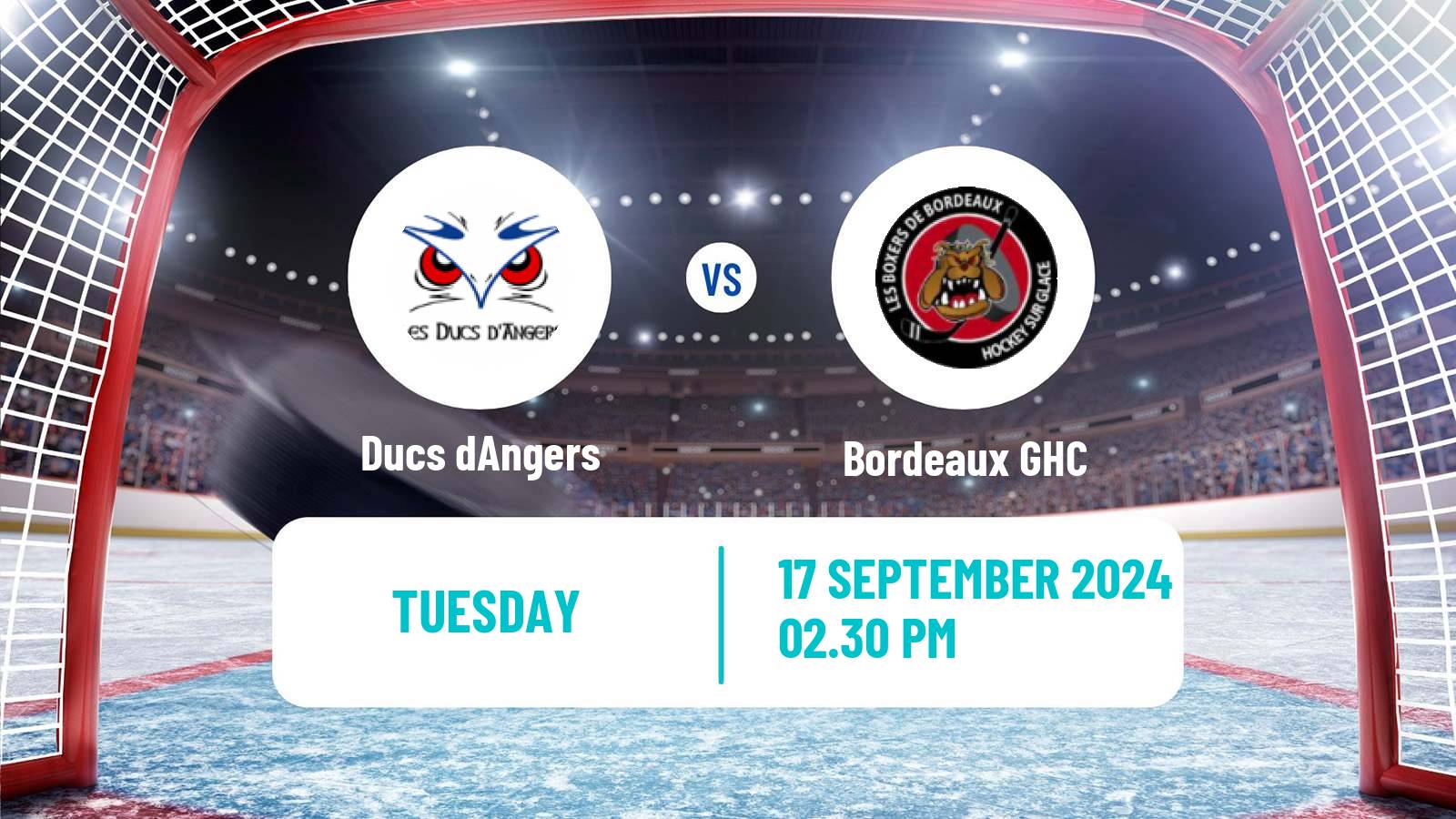 Hockey French Ligue Magnus Angers - Bordeaux