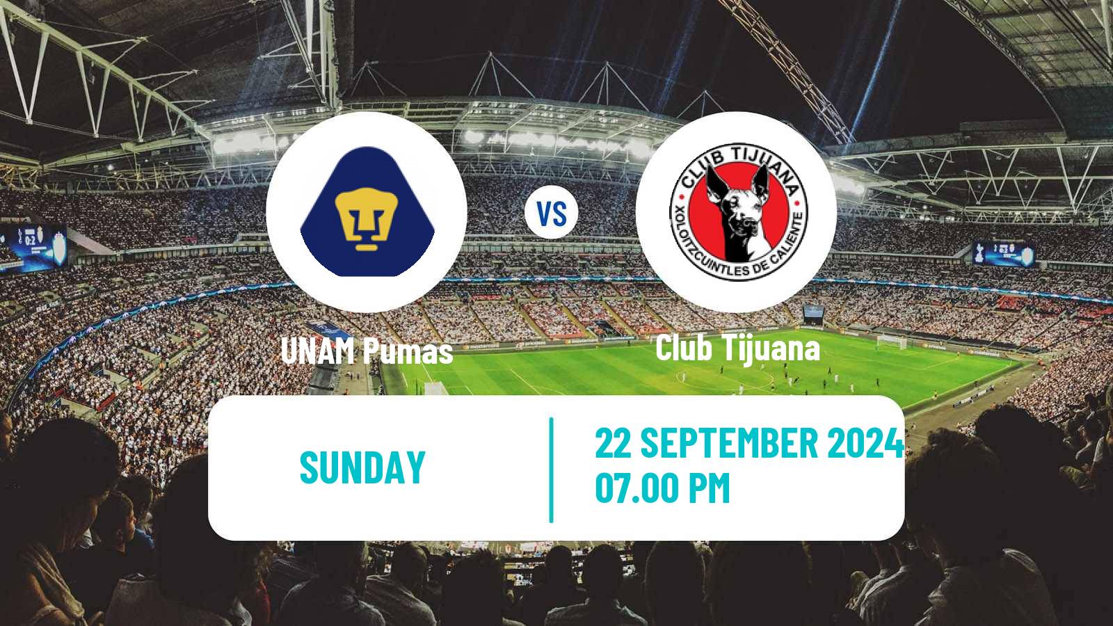 Soccer Mexican Liga MX UNAM - Tijuana