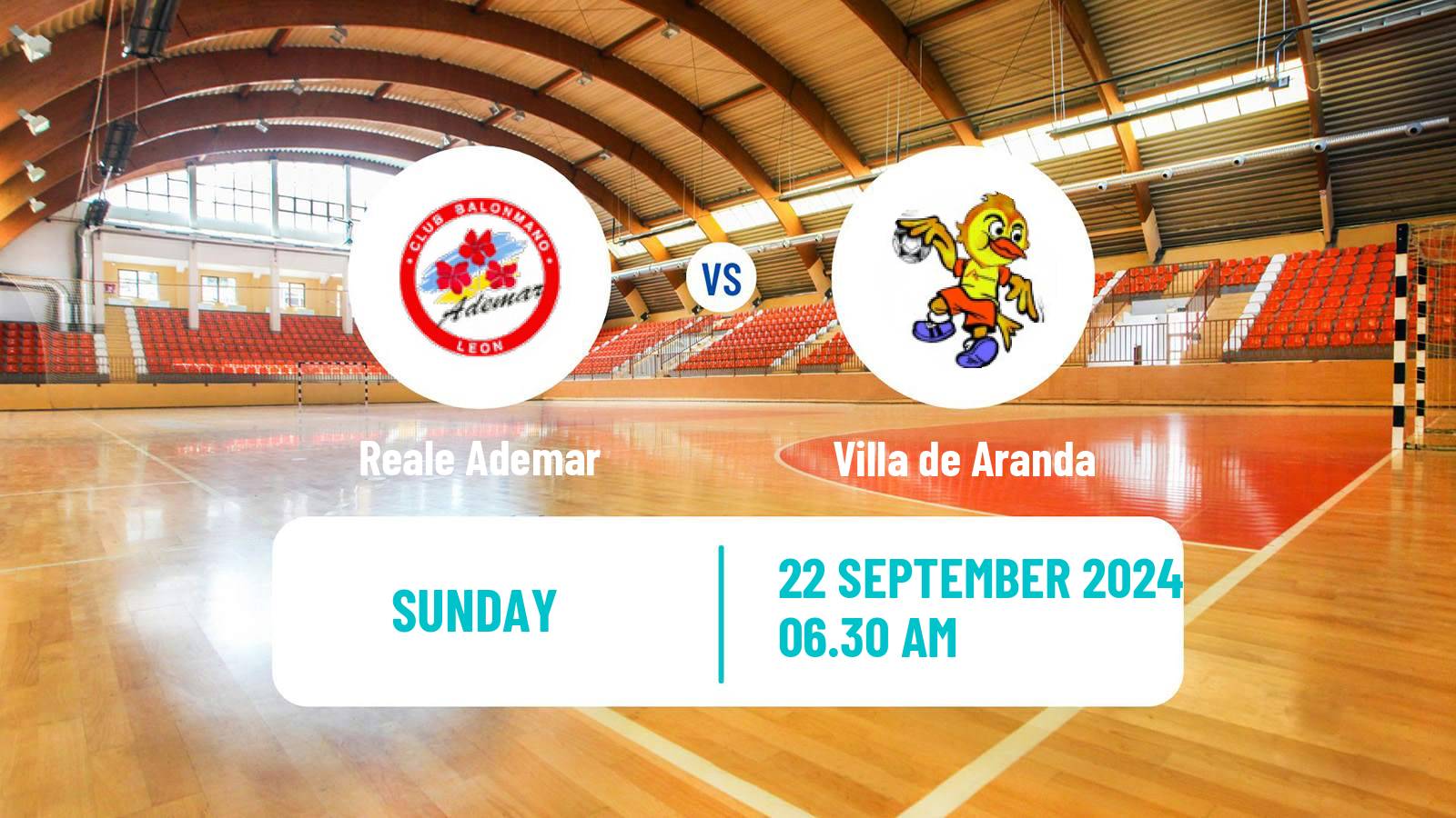 Handball Spanish Liga ASOBAL Reale Ademar - Villa de Aranda