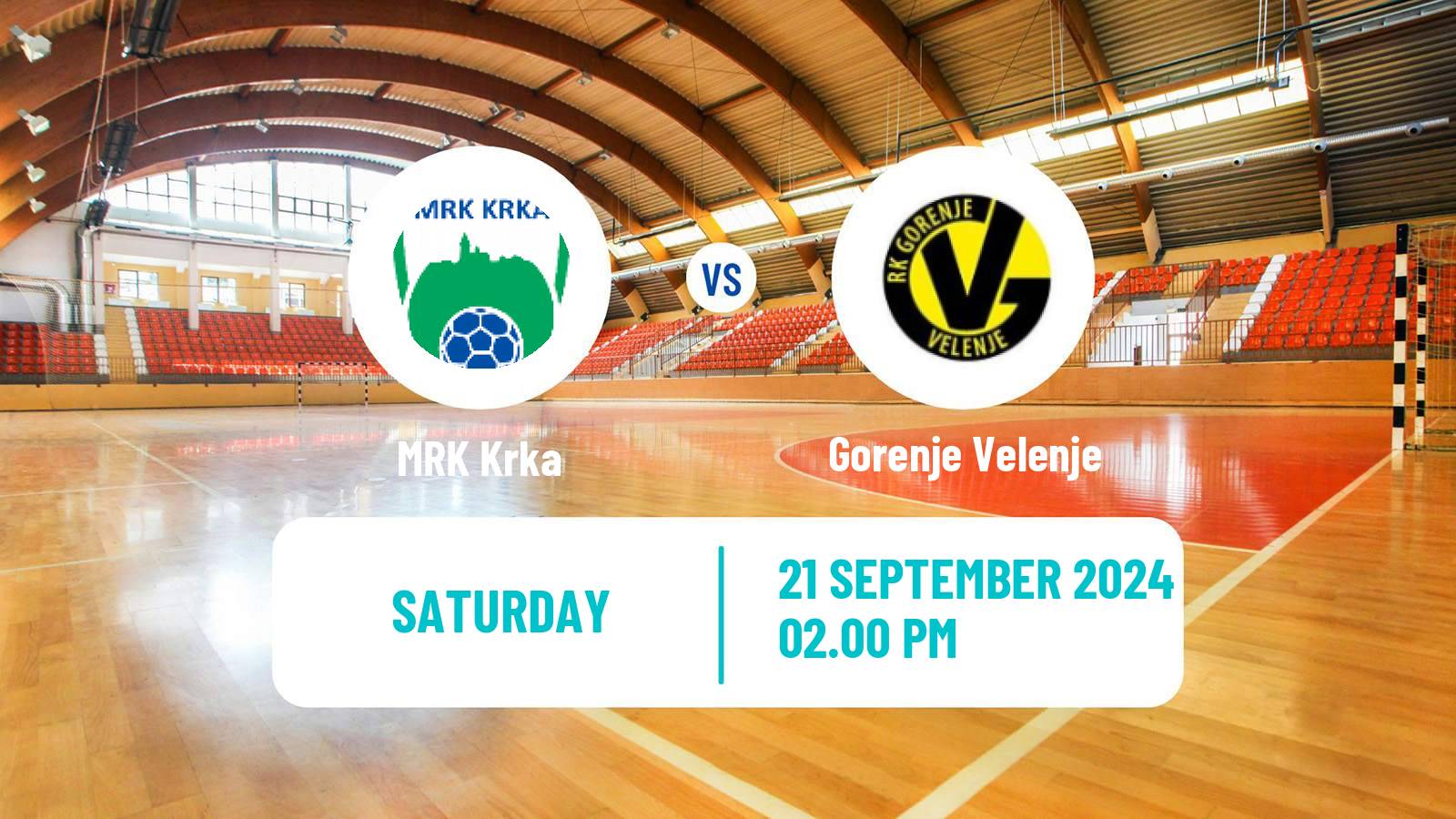 Handball Slovenian 1 NLB Liga Handball Krka - Gorenje Velenje