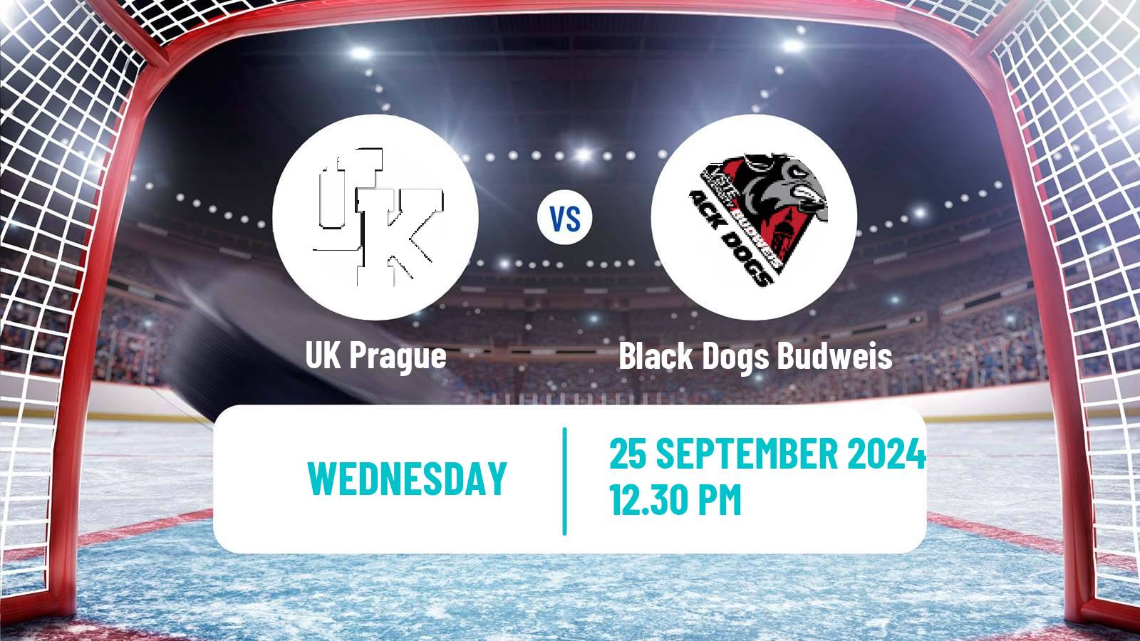 Hockey Czech ULLH UK Prague - Black Dogs Budweis