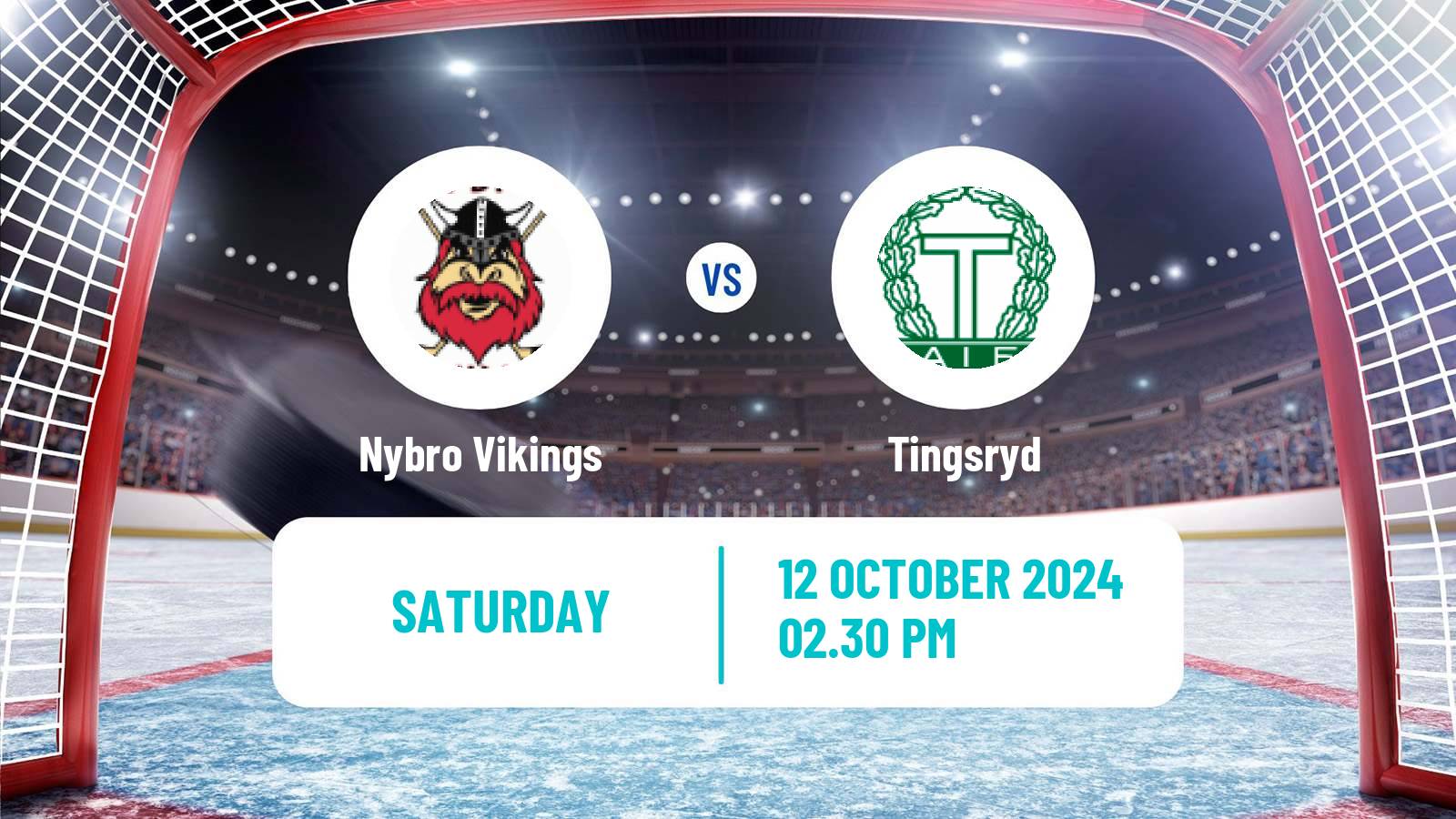 Hockey Swedish Hockey Allsvenskan Nybro Vikings - Tingsryd