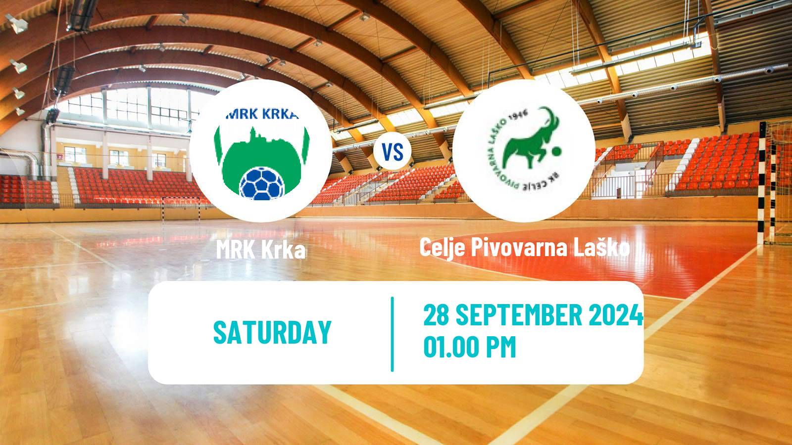 Handball Slovenian 1 NLB Liga Handball Krka - Celje Pivovarna Laško