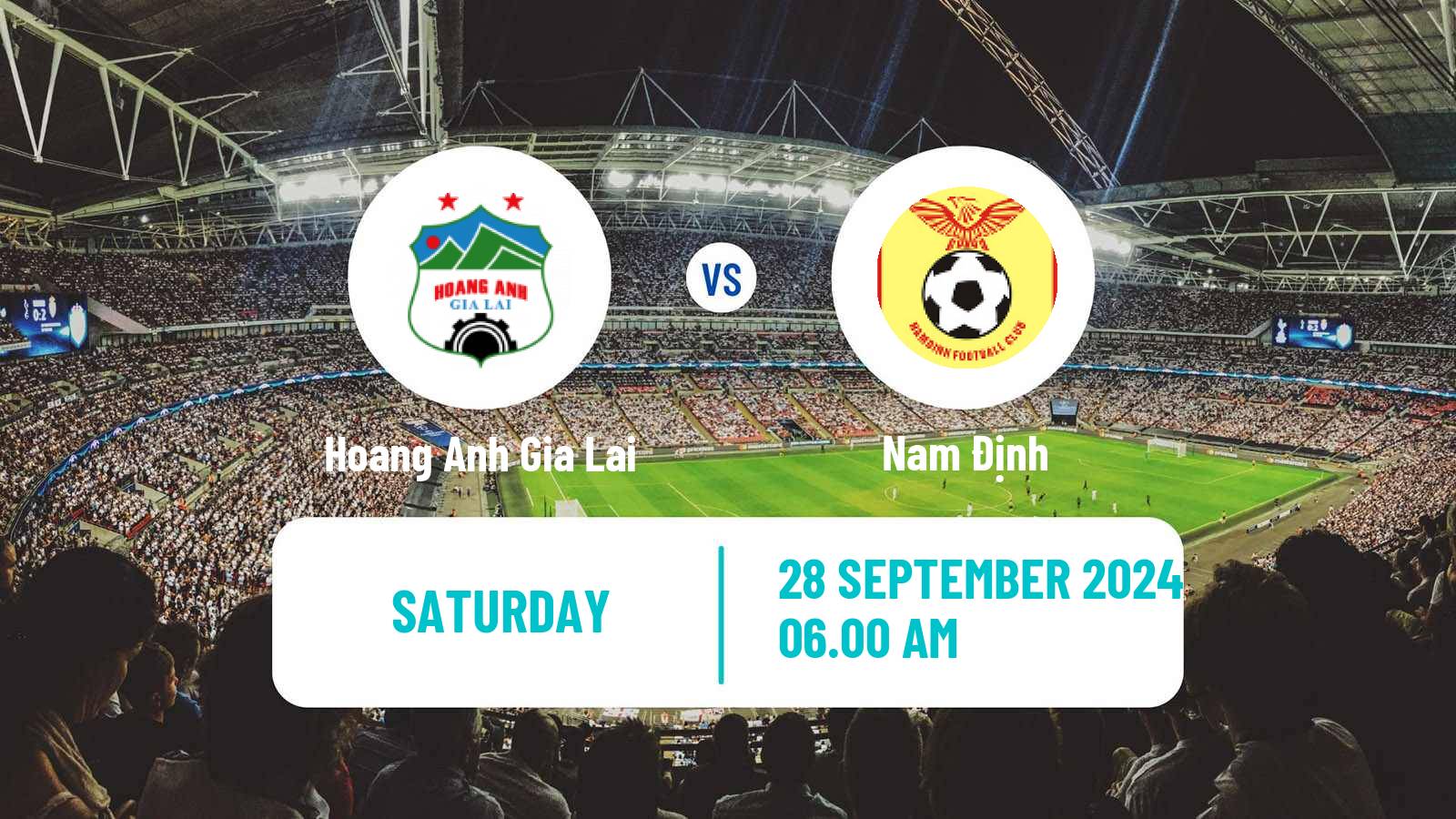 Soccer Vietnamese V League 1 Hoang Anh Gia Lai - Nam Định