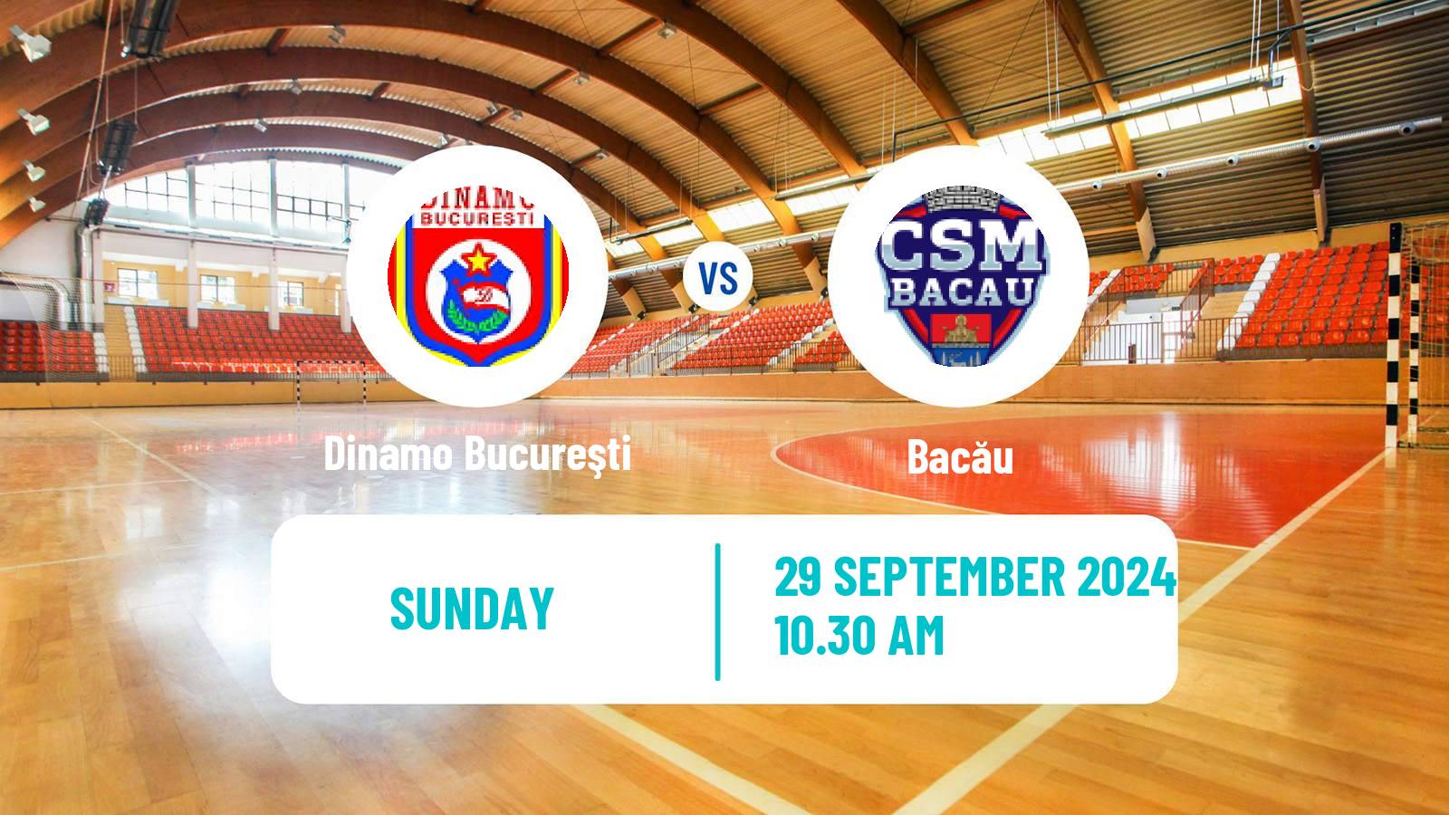 Handball Romanian Liga Nationala Handball Dinamo Bucureşti - Bacău