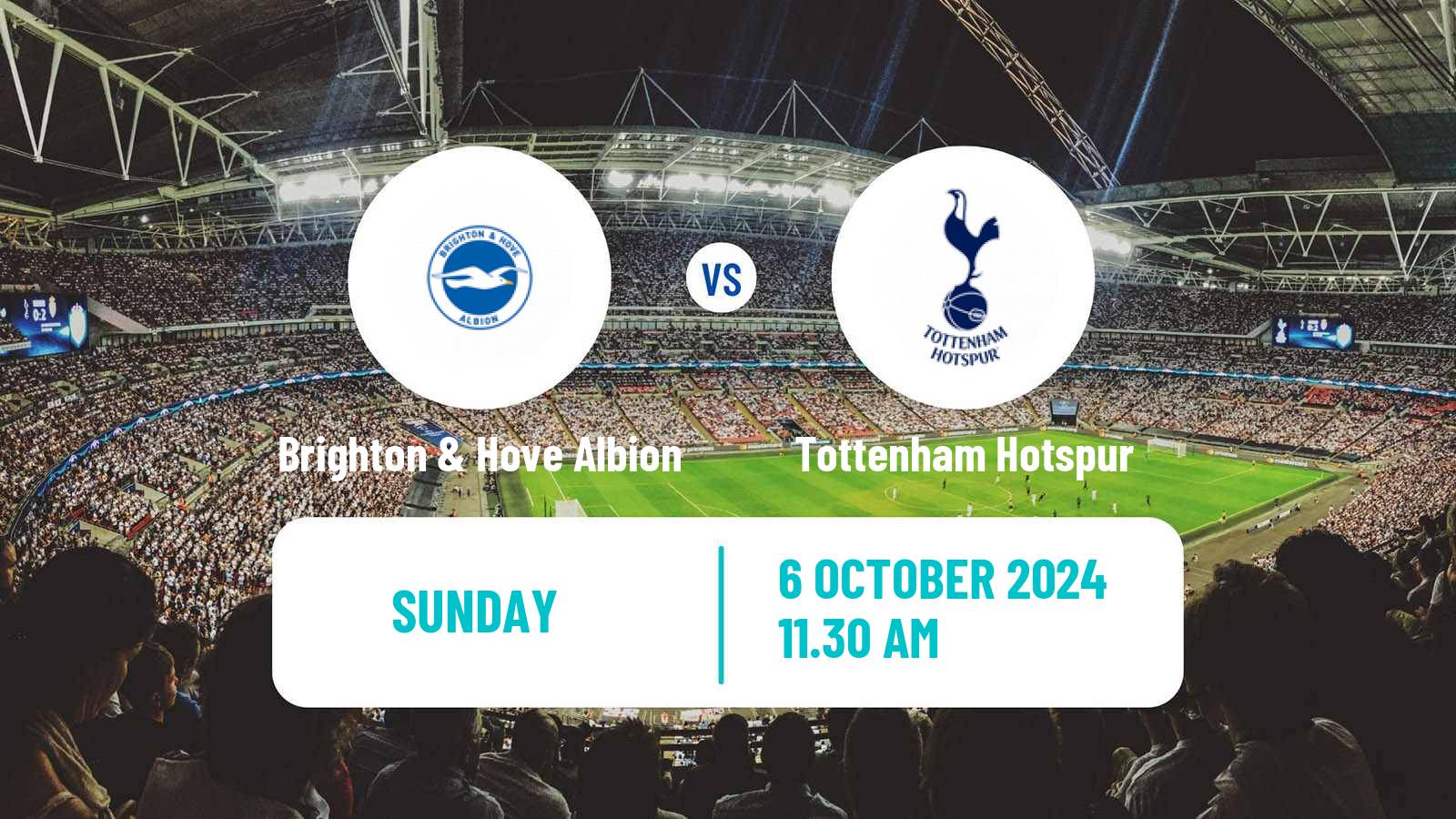 Soccer English Premier League Brighton & Hove Albion - Tottenham Hotspur