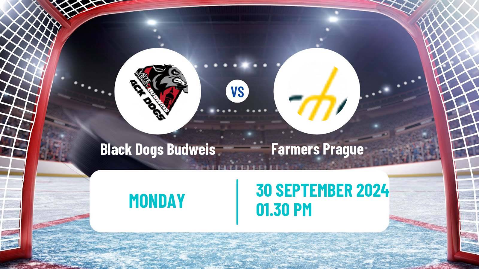 Hockey Czech ULLH Black Dogs Budweis - Farmers Prague