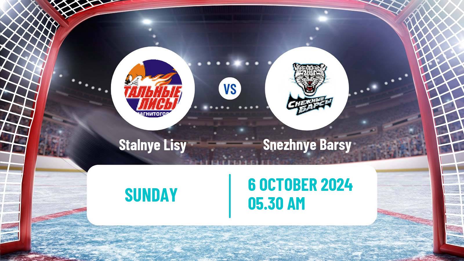 Hockey MHL Stalnye Lisy - Snezhnye Barsy